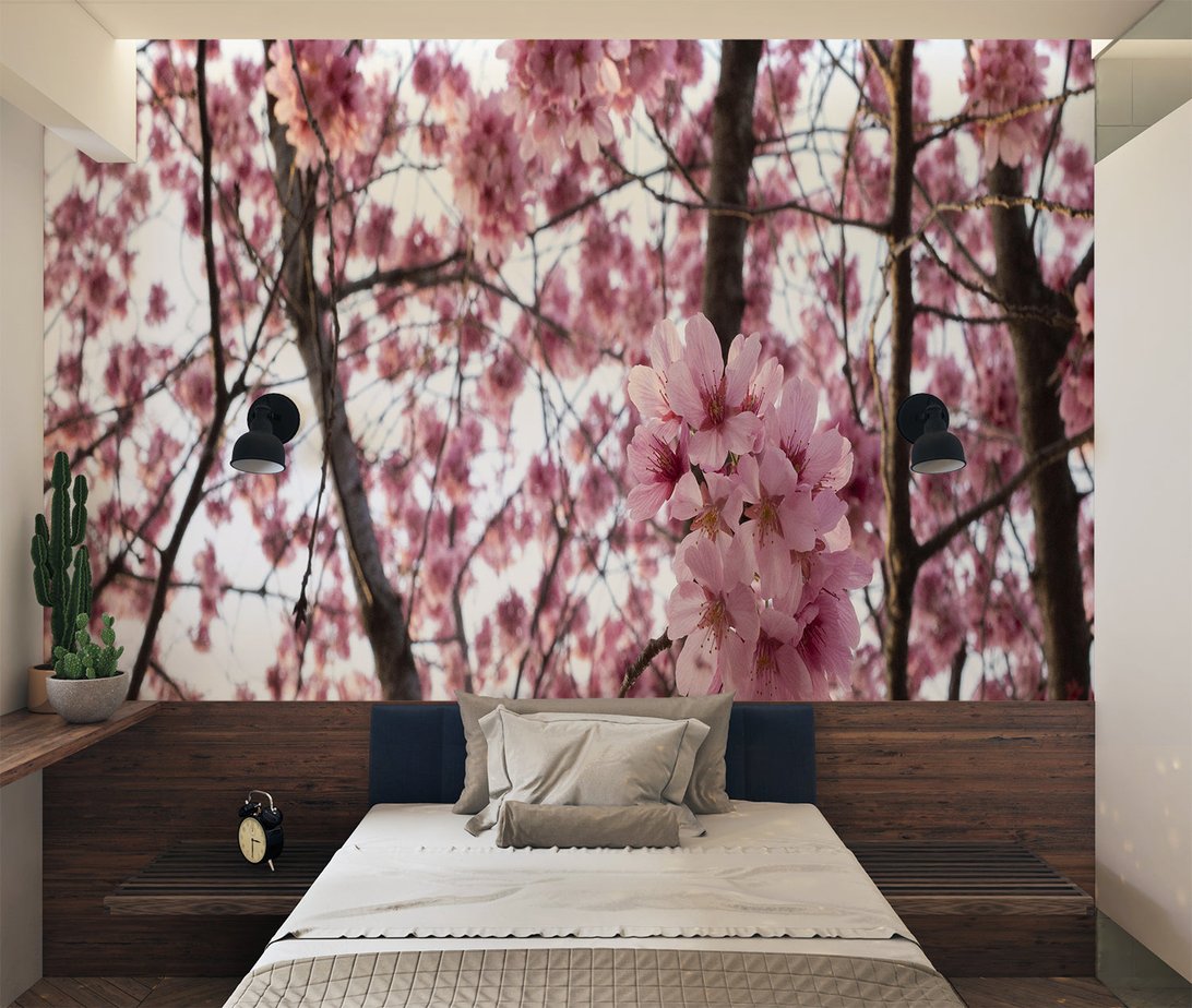 Close-up of Pink Sakura mural wallpaper with detailed cherry blossoms