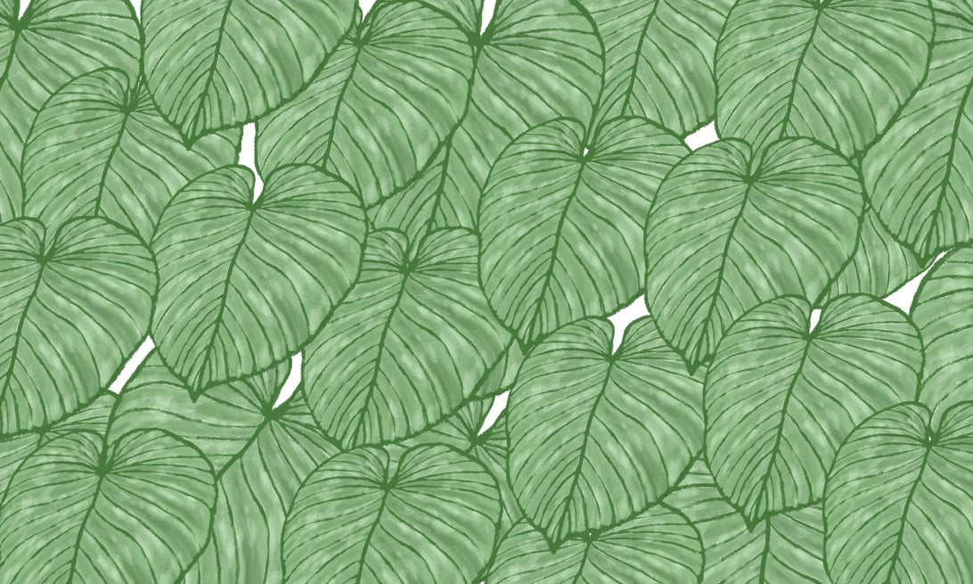 Panoramic view of tropical Monstera leaf mural wallpaper in emerald green